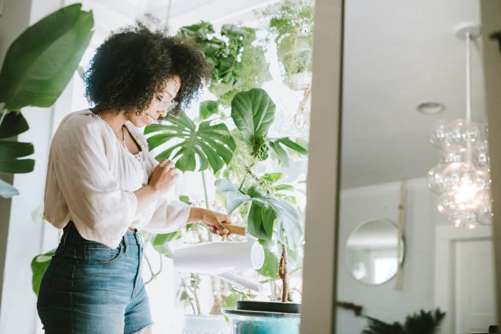 houseplants