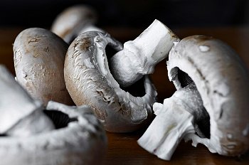 Mushrooms