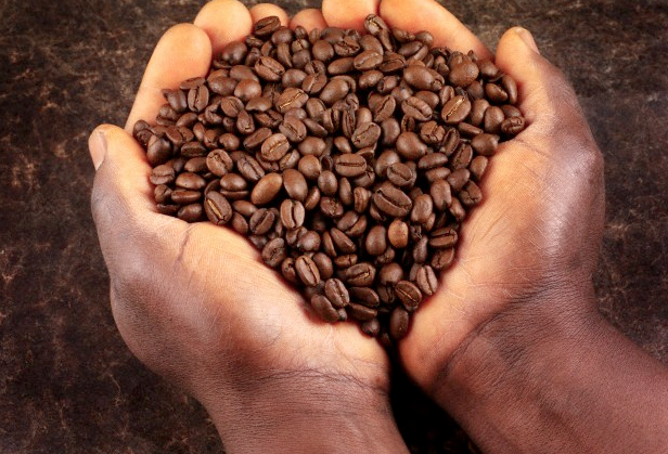 caffeine and ms