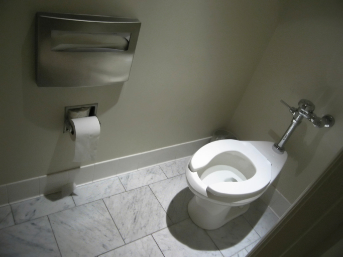 bathroom toilet