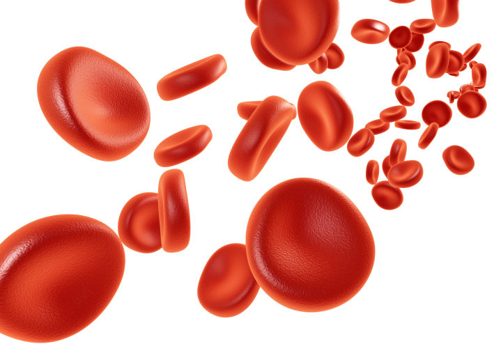 isolated blood cells