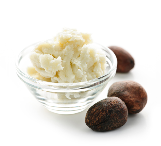 shea butter nuts