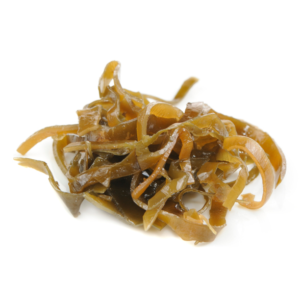 kelp