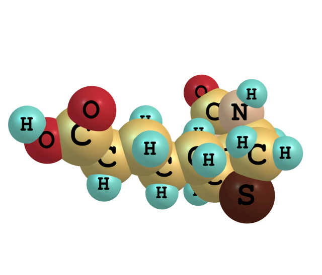 biotin b7 molecules