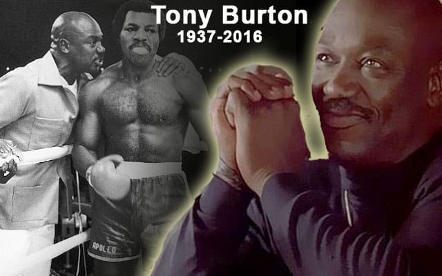 tony-b