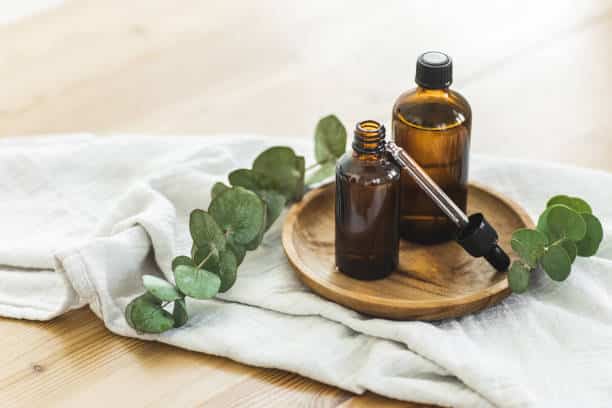 herbs for lungs