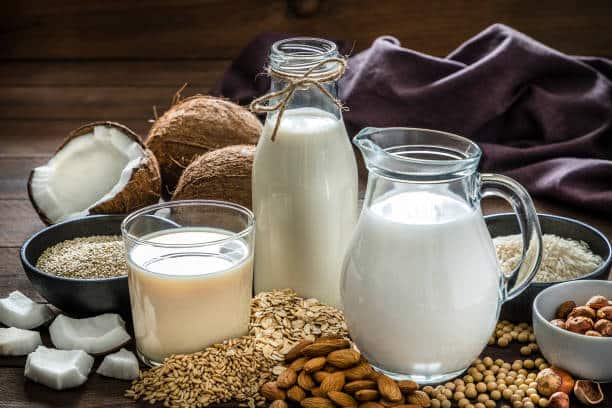 dairy