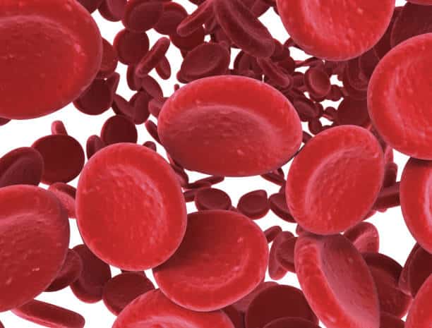 red blood cell count