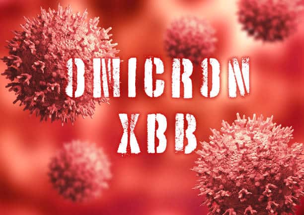 xbb covid 19 variant