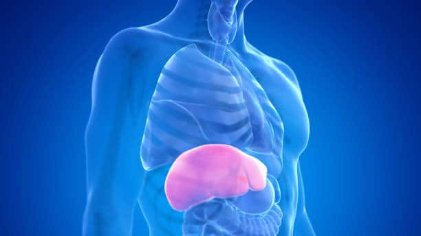 liver disease