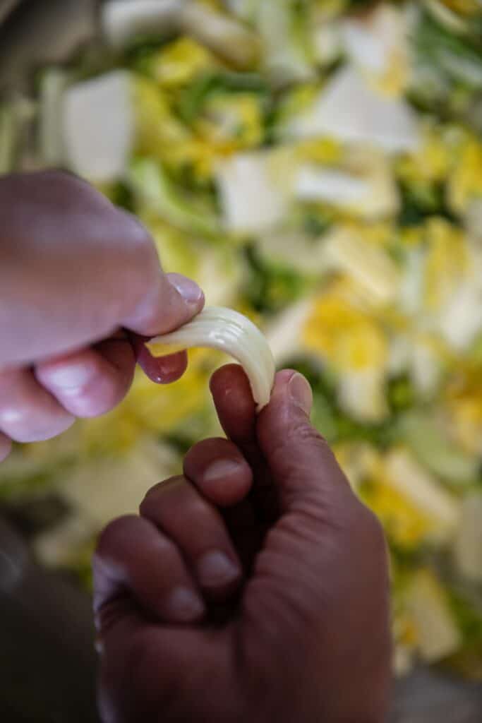 The BEST Vegan Kimchi (김치) Recipe (Easy & Homemade). 8 Closeup of hands bending a cabbage leaf