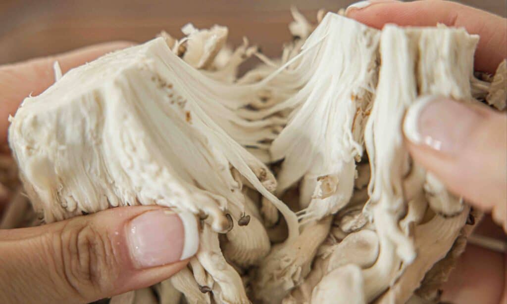 AMAZING Vegan Fried Chicken Recipe (2 Korean Sauces) 4 meaty-texture-of-oyster-mushroom