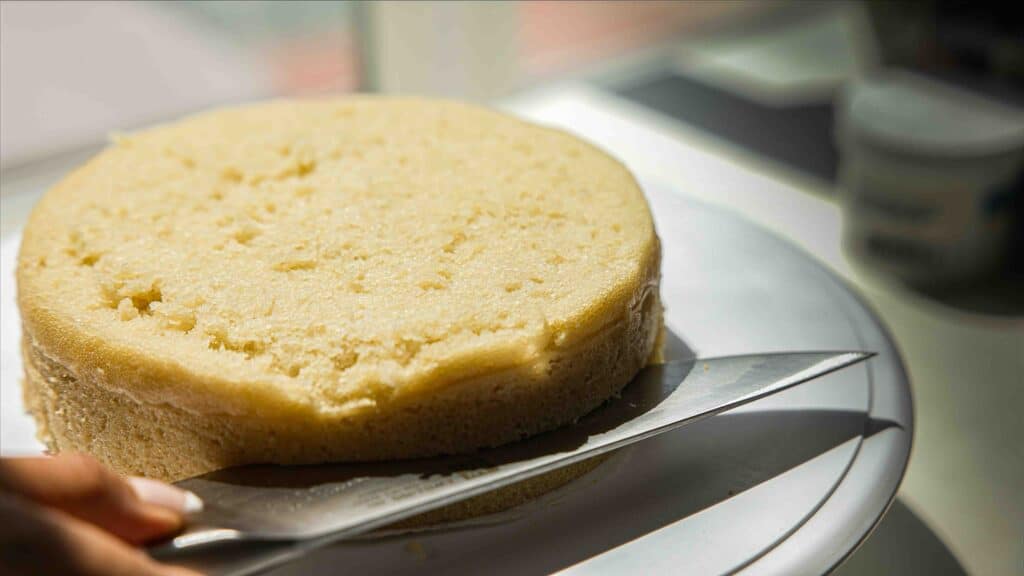 Vegan Sponge Cake