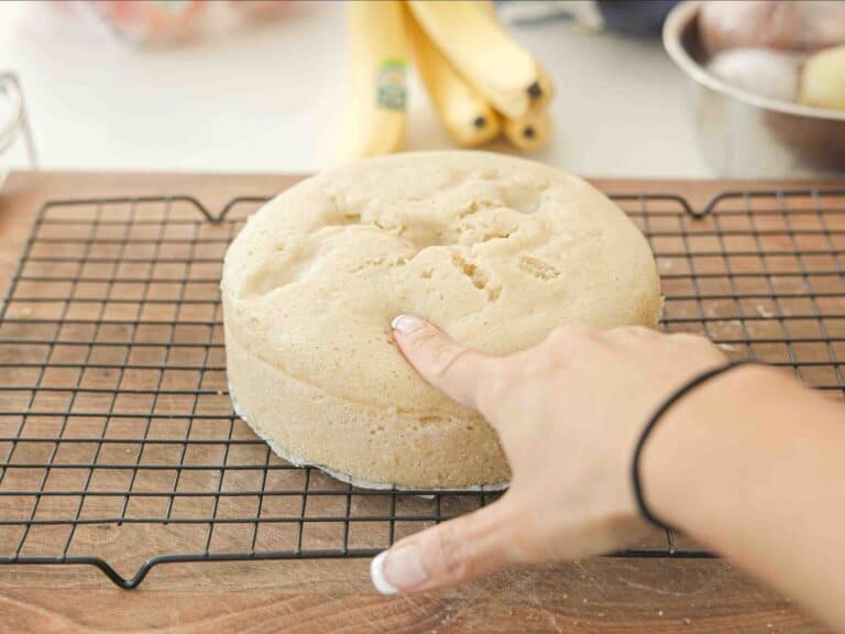bouncy vegan sponge cake