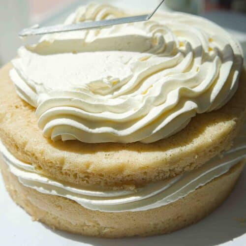 The Perfect NO BAKE Easy Vegan Sponge Cake Recipe. 15 frosting vegan sponge cake