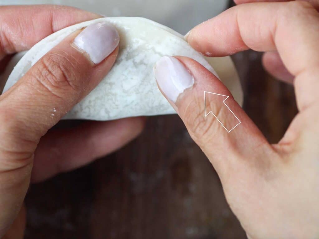 Homemade Vegan Dumplings Recipe - Kimchi Mandu. 27 beginning-to-pleat-dumpling