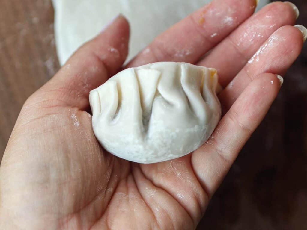 Homemade Vegan Dumplings Recipe - Kimchi Mandu. 25 completed-pleat-and-pinch-dumpling.