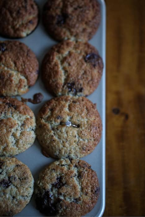 Best Vegan Blueberry Muffins and My Proposal Story 2