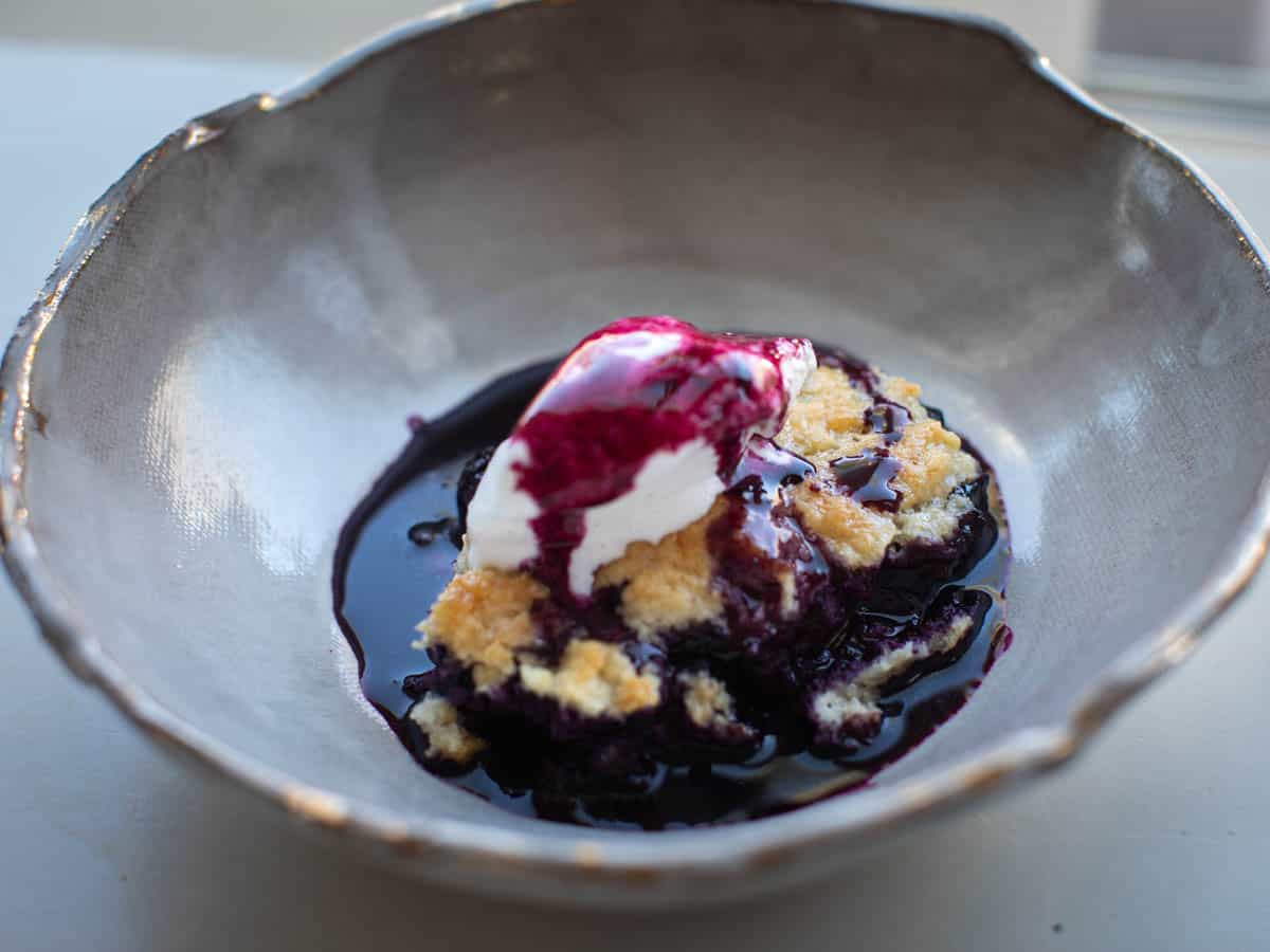 6-Ingredient BEST No-Bake Pumpkin Cheesecake (Vegan). 12 baked vegan blueberry cobbler with ice cream