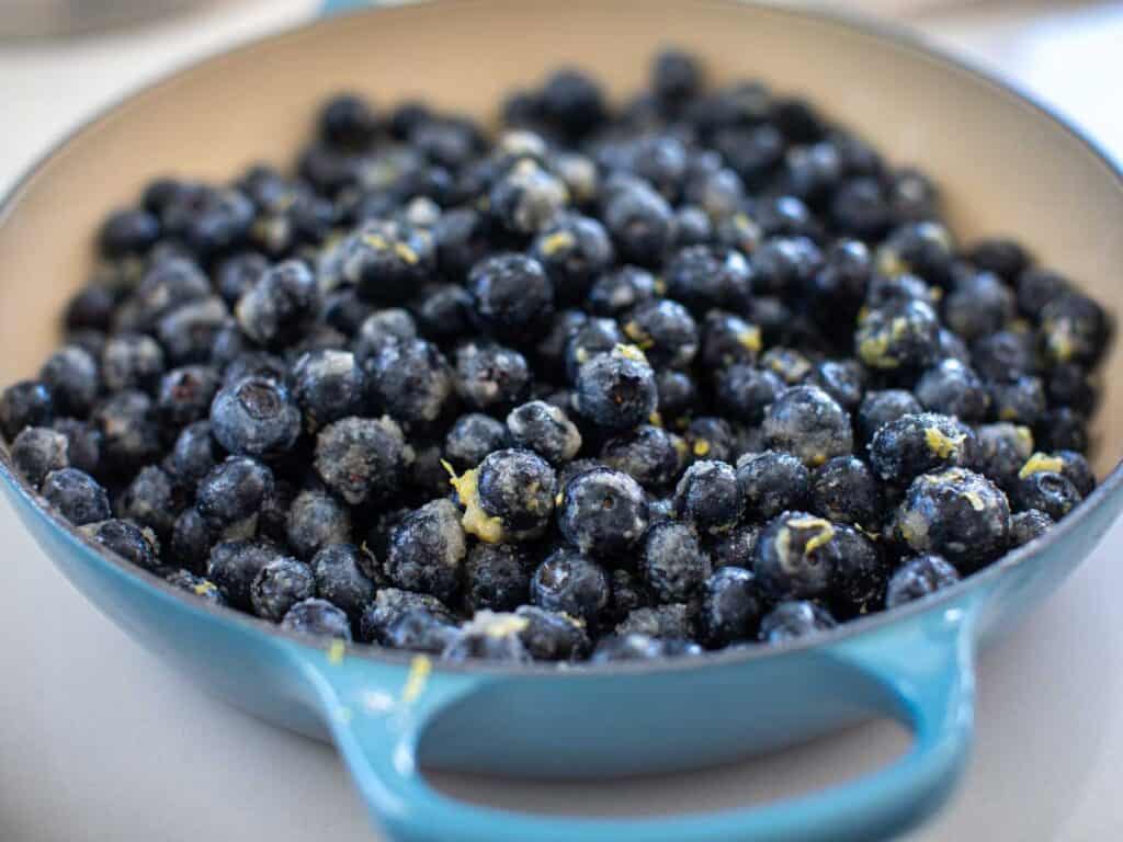 Easy Vegan Blueberry Cobbler (Gluten-Free Option!) 10 blueberry mixture prior to being baked