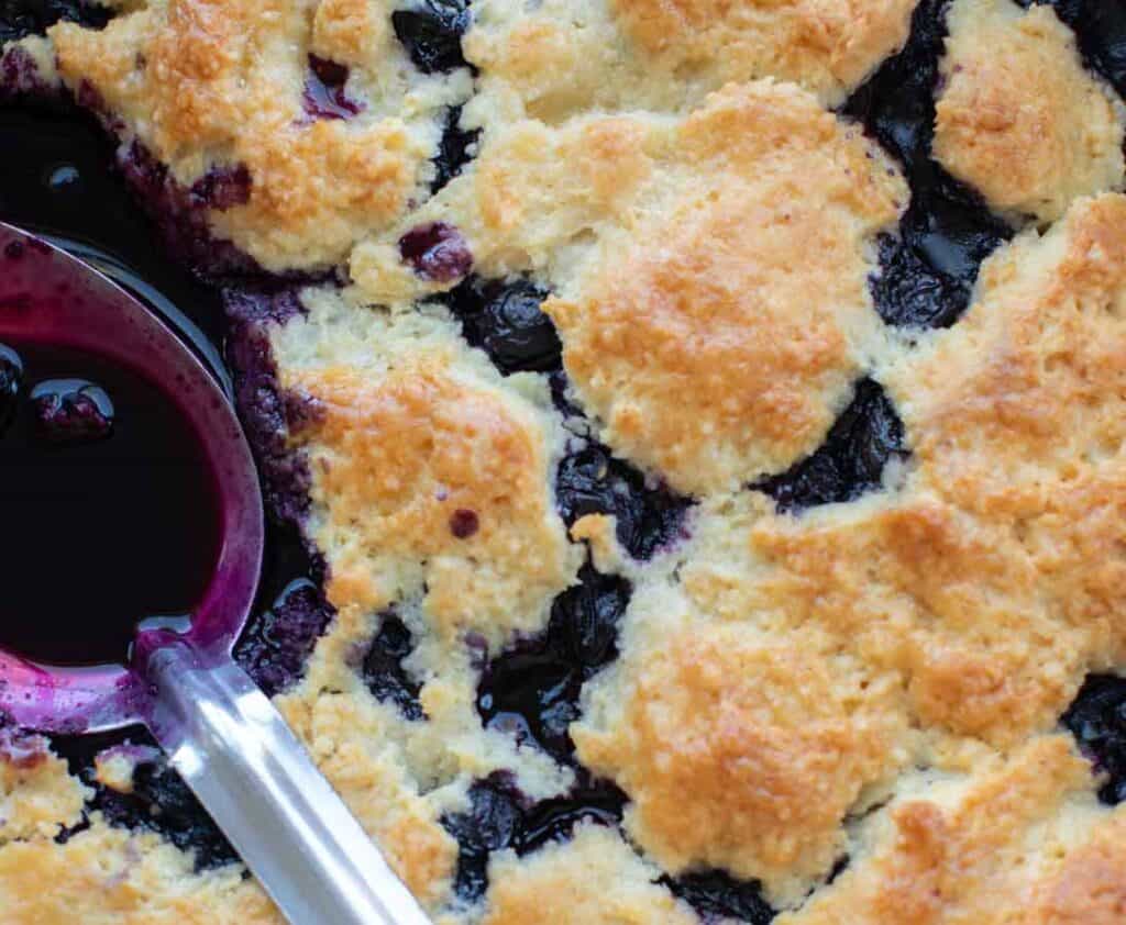 Easy Vegan Blueberry Cobbler (Gluten-Free Option!) 3 close up of vegan blueberry cobbler
