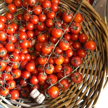 Traveling as a Vegan in Italy: An Easy & Delicious Guide. 10