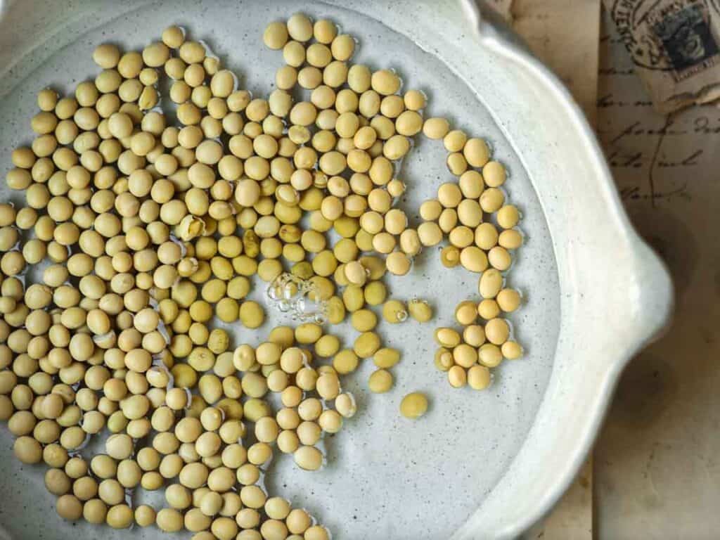 Easy and Authentic Cold Kong Guksu Recipe (Vegan). 5 top-down-image-of-soybeans-soaking-in-water.