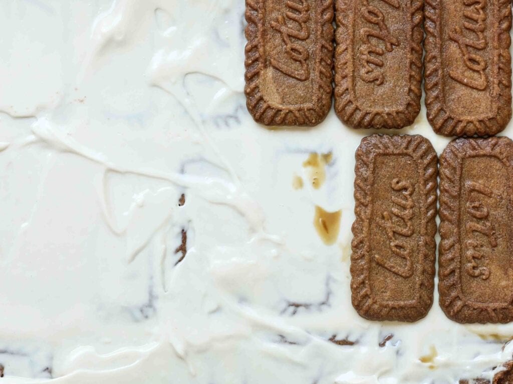Super Easy and DELICIOUS Vegan Biscoff-Misu Recipe. 19 adding-third-layer-of-soaked-cookies