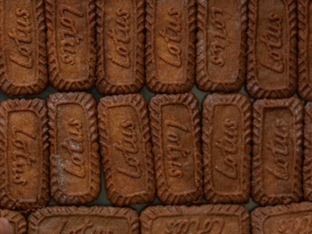 Super Easy and DELICIOUS Vegan Biscoff-Misu Recipe. 16 bottom-layer-of-soaked-biscoff-cookies
