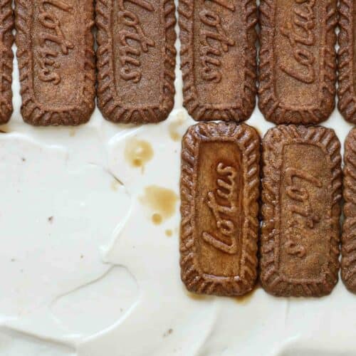 Super Easy and DELICIOUS Vegan Biscoff-Misu Recipe. 23