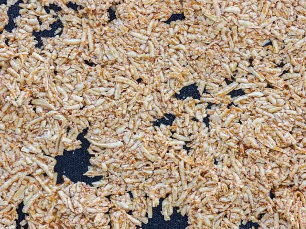 Easy Hi-Protein Vegan Lunch Meat: Korean BBQ Sandwich. 13 shredded-tofu-right-before-putting-in-the-oven