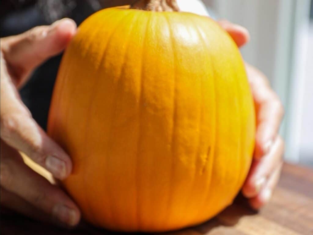 Easy Creamy and Spicy Pumpkin Ramen Recipe (Vegan). 4 whole pumpkin