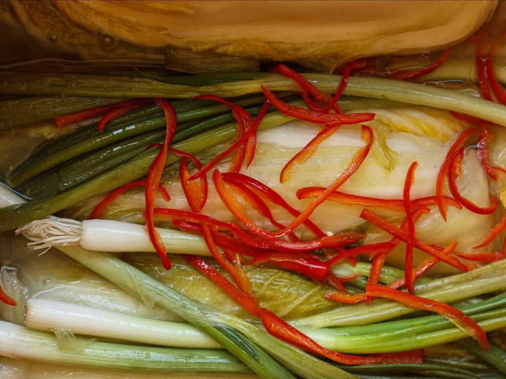 Mom's Easy White Kimchi (Baek-Kimchi) Recipe (백김치). 2 Close-up of pickled napa cabbage with sliced red chili peppers and long green onions, all submerged in brine. The vibrant colors and textures suggest ingredients used in making kimchi.