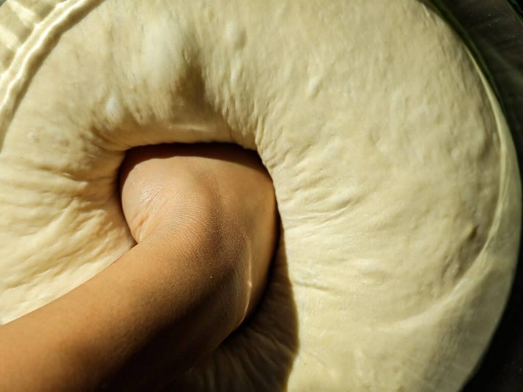 Perfect Roasted Garlic Vegan Dinner Rolls Recipe. 23 A hand presses into soft, rising dough in a bowl, with sunlight highlighting the texture.