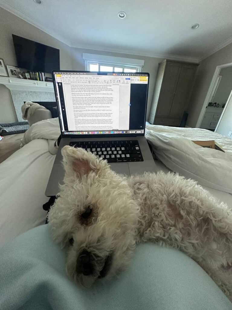 A small white fluffy dog lies on a persons lap in front of an open laptop displaying text. The setting appears to be a bedroom with a fireplace, TV, and another dog resting on the bed in the background.