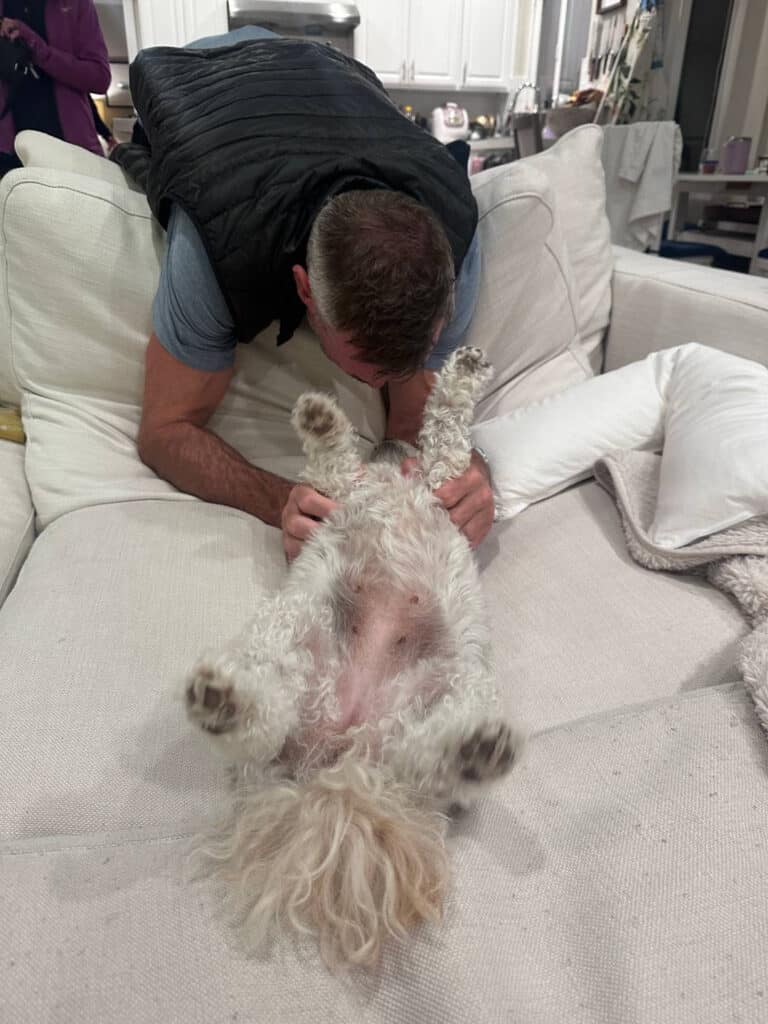 A man in a black vest is playfully interacting with a small, fluffy white dog lying on its back on a beige sofa. The dog’s paws are in the air, and the room is softly lit with a cozy atmosphere.
