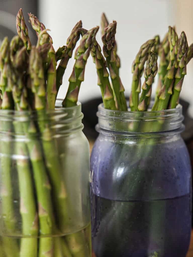 30-Minute Delicious Asparagus Pasta Recipe (Vegan). 2 Two glass jars filled with fresh asparagus spears standing upright in water. The jars are placed close together, with the asparagus tips slightly protruding above the jar rims. The scene suggests freshness and a kitchen setting.
