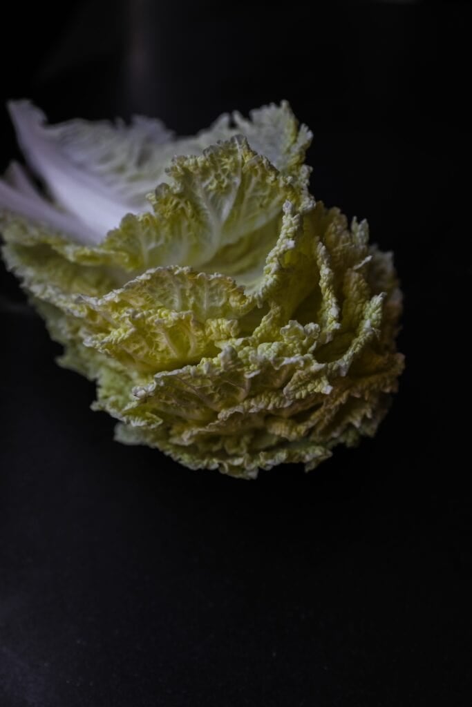 The Korean Vegan: HomeMade 16 A close-up of Napa cabbage against a dark background evokes the essence of a Korean vegan dish. The focus is on the crinkled, pale green leaves with a hint of white at the base, highlighting their texture and layers, reminiscent of homemade culinary artistry.