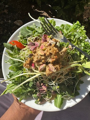 raw food diet