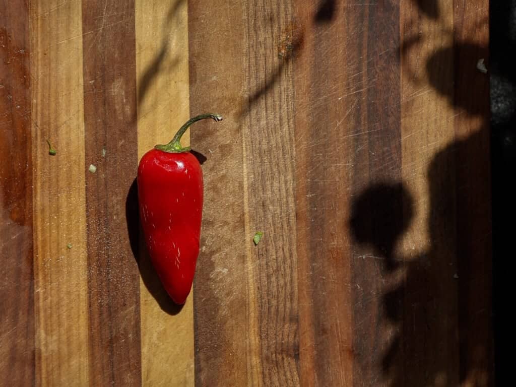 Easy and Crispy Korean Kimchi Pancakes (김치전) Recipe. 10 A single red chili pepper rests on a striped wooden cutting board, with shadows of leaves falling across the surface.