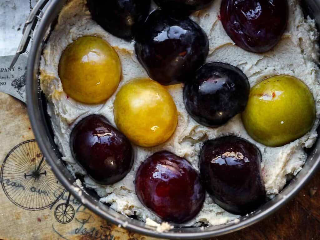 7 Ingredient Vegan Plum Torte - Easy & Delicious. 48 A baking pan filled with creamy cake batter, topped with whole yellow and dark purple plums arranged in a circle, ready to be baked. The pan sits on a wooden surface with printed text and a bicycle illustration.