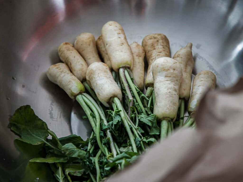 Vegan Ponytail Kimchi aka Chonggak-Kimchi Recipe. 11 Several white radishes with leafy green tops are placed in a metal bowl, perfect for preparing Chonggak-Kimchi or trying out a new vegan kimchi recipe, with part of a brown paper bag visible in the foreground.
