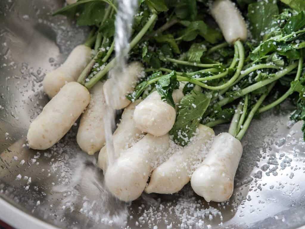 Vegan Ponytail Kimchi aka Chonggak-Kimchi Recipe. 22 Fresh white radishes with green leaves are sprinkled with coarse salt and rinsed with water in a metal bowl, preparing them for a delicious Chonggak-Kimchi recipe.