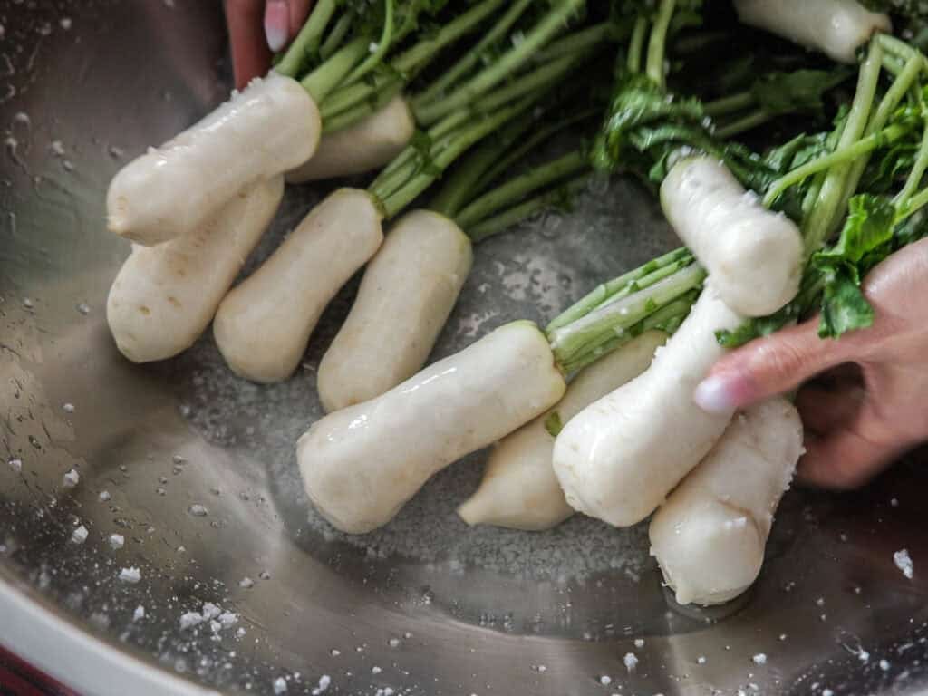 Vegan Ponytail Kimchi aka Chonggak-Kimchi Recipe. 23 A person’s hands washing several white radishes with green stems in a stainless steel bowl filled with water and coarse salt, preparing fresh ingredients for a Vegan Kimchi or authentic Chonggak-Kimchi recipe.