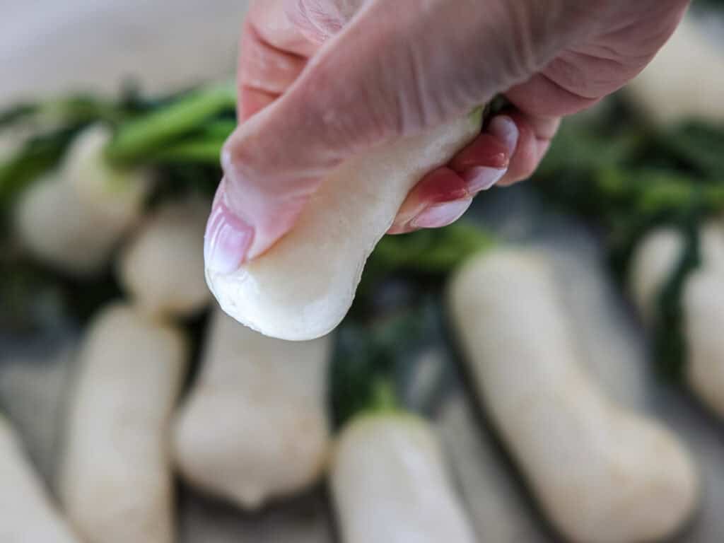 Vegan Ponytail Kimchi aka Chonggak-Kimchi Recipe. 31 A close-up of a hand holding a small white radish with leafy greens attached, surrounded by other similar radishes—perfect for making vegan kimchi or trying a traditional chonggak-kimchi recipe.