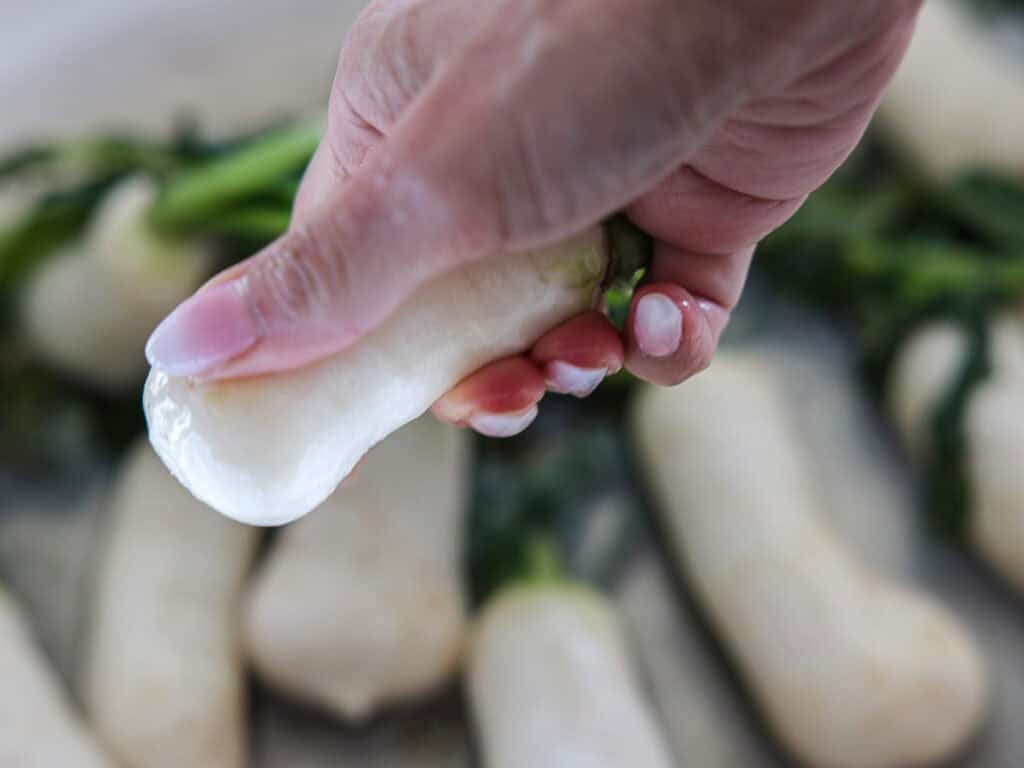 Vegan Ponytail Kimchi aka Chonggak-Kimchi Recipe. 30 A close-up of a hand squeezing a small, white vegetable with green tops, possibly for a Vegan Kimchi recipe, surrounded by similar vegetables on a flat surface.