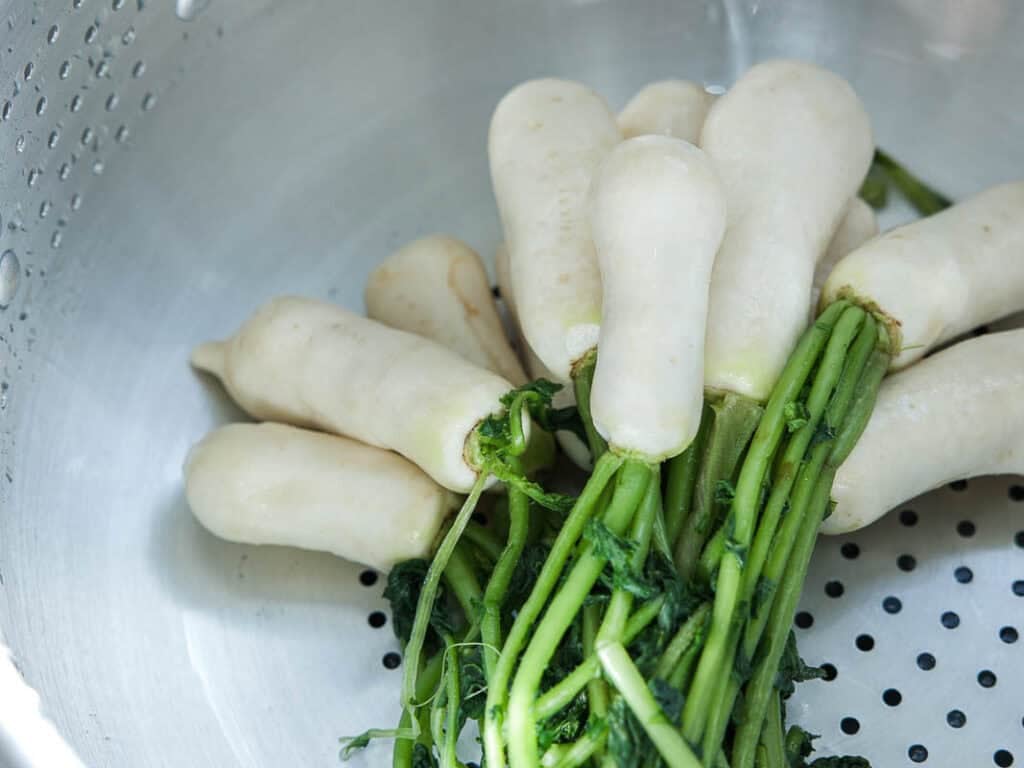 Vegan Ponytail Kimchi aka Chonggak-Kimchi Recipe. 33 A bunch of small white radishes with green stems placed in a metal colander, perfect for making Vegan Ponytail Kimchi or trying out your own Chonggak-Kimchi Recipe.
