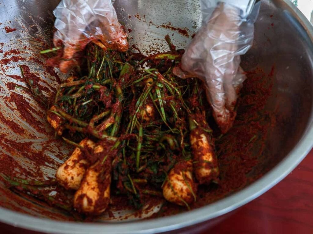 Vegan Ponytail Kimchi aka Chonggak-Kimchi Recipe. 43 Gloved hands mix white radishes with green stems and red chili paste in a large metal bowl, preparing ingredients for an authentic Vegan Ponytail Kimchi, also known as chonggak-kimchi recipe.
