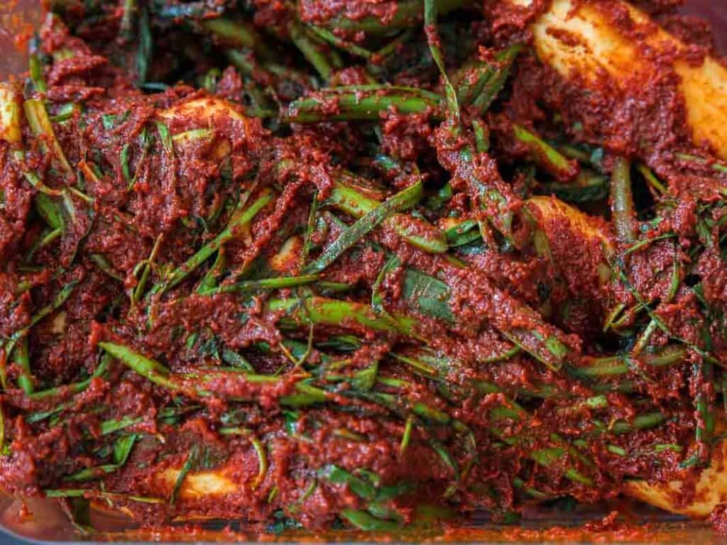 Vegan Ponytail Kimchi aka Chonggak-Kimchi Recipe. 47 Close-up of freshly made kimchi, featuring Korean baby radishes and green onions coated in vibrant red chili pepper paste—perfect inspiration for trying a Vegan Kimchi or classic Chonggak-Kimchi Recipe at home.