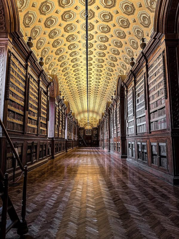 Da Vinci & Mutti: A Visit to Parma, Italy. 6 A grand library hall with tall bookshelves lining both sides, a patterned wooden floor, and an ornate, arched ceiling decorated with Da Vinci-inspired geometric designs. Natural light shines through windows on the left.